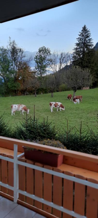 Apartma Rozle Mojstrana Exteriör bild