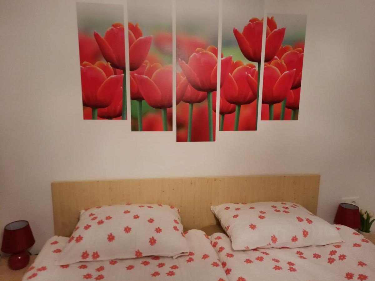 Apartma Rozle Mojstrana Exteriör bild