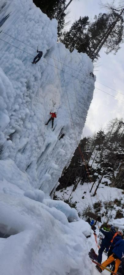 Apartma Rozle Mojstrana Exteriör bild