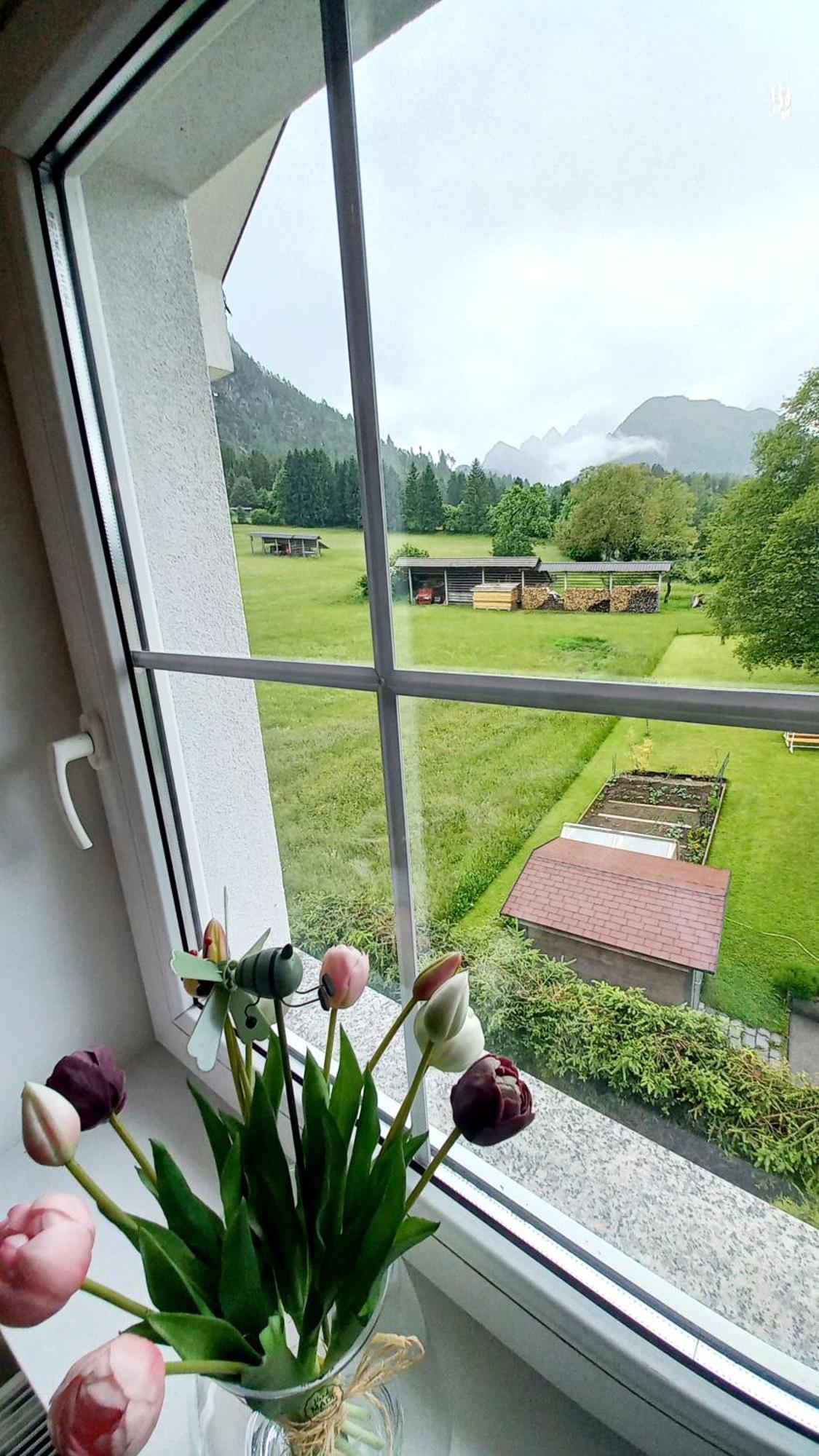 Apartma Rozle Mojstrana Exteriör bild