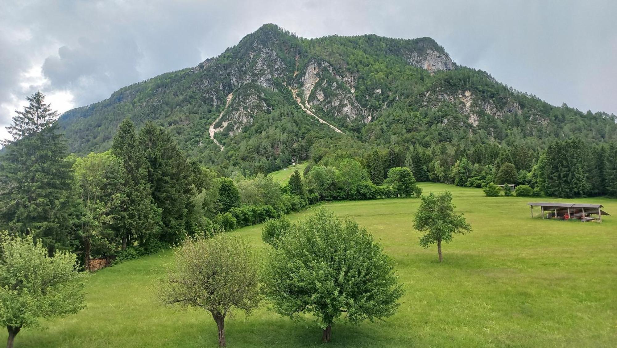 Apartma Rozle Mojstrana Rum bild